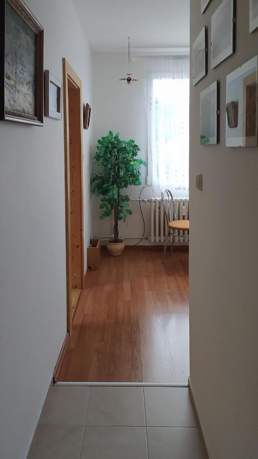 Apartman V Srní Eksteriør bilde